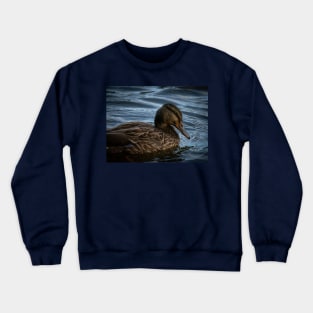 ducking funny Crewneck Sweatshirt